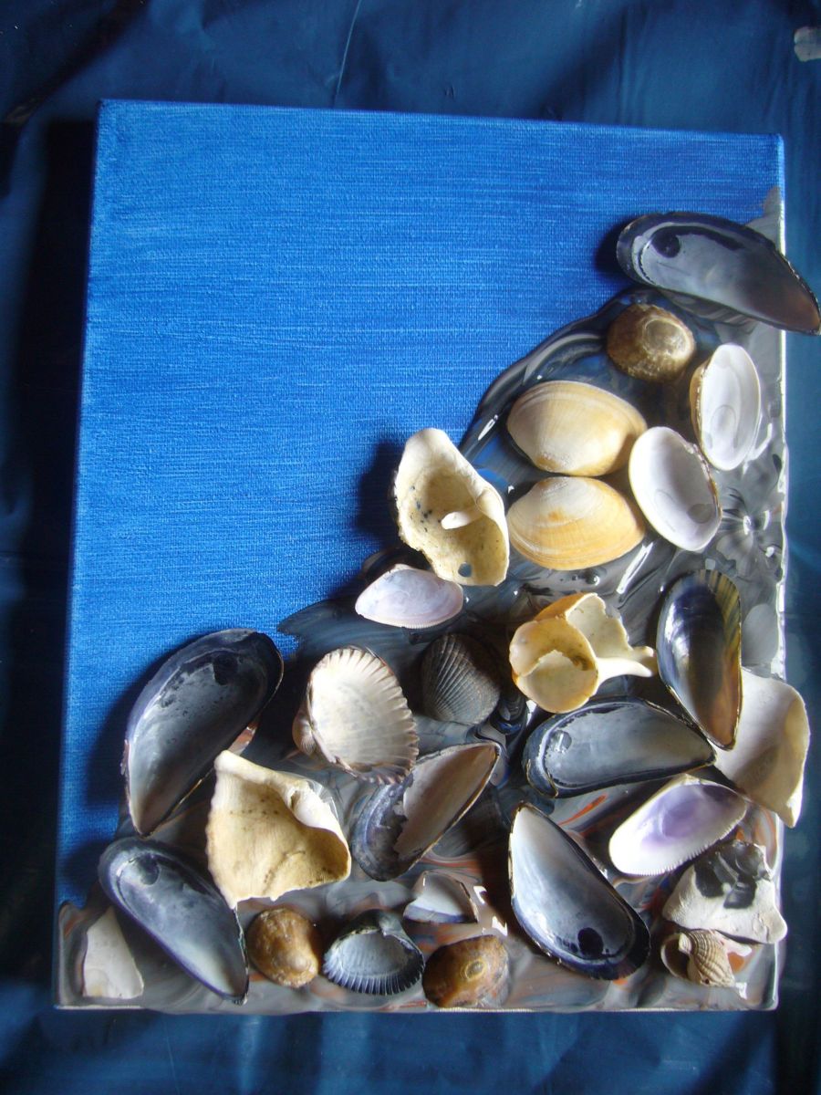 Blog-Inhaltsbild für 'Gruß aus Poseidons Reich - Meeresbild mit Muscheln'